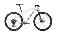 ACCENT POINT SX 